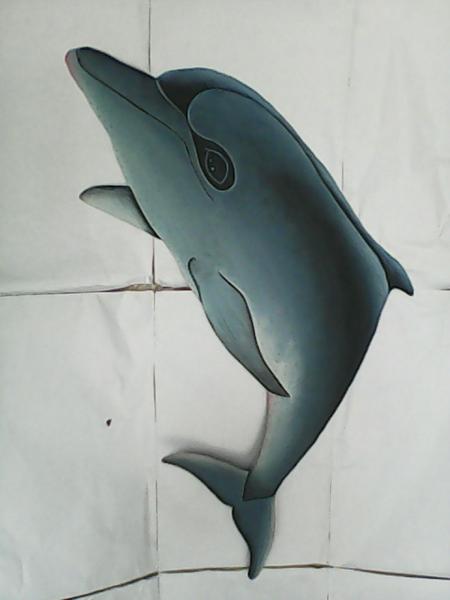 small dolphin