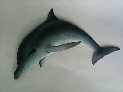 Small Dolphin picture