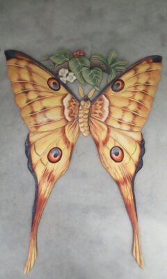 Butterfly picture