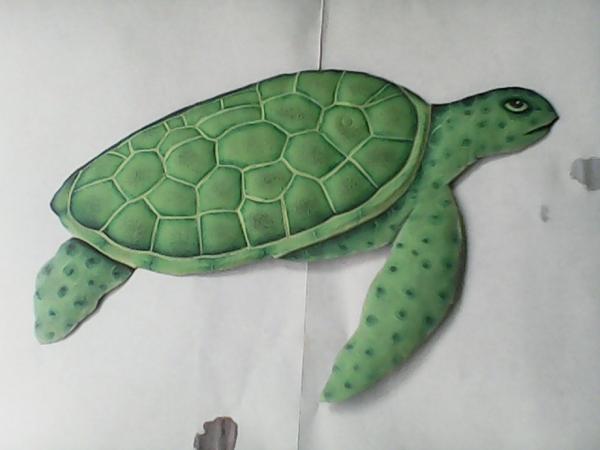 small turtle picture