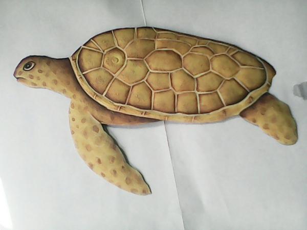 small brown turtle picture