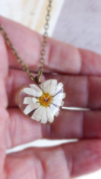 Real daisy pendant picture