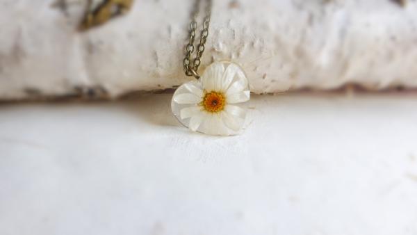 Real daisy pendant