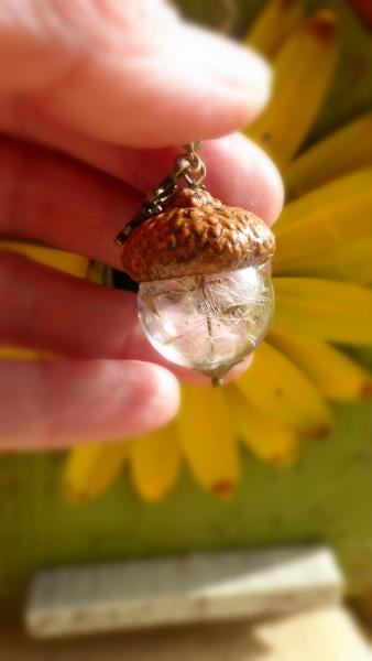 acorn necklace picture