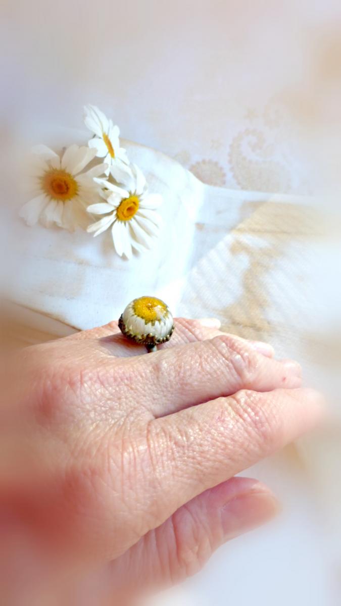 wild daisy ring picture