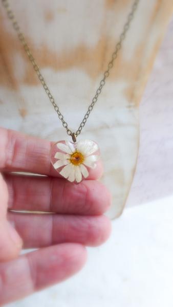 Real daisy pendant picture