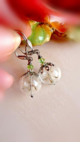 Dandelion earrings picture