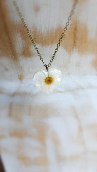 Real daisy pendant picture