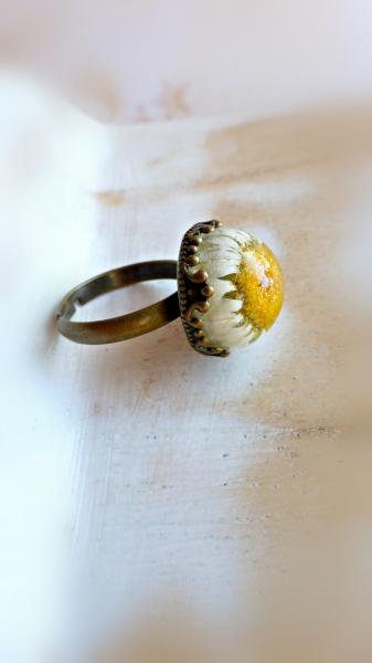 wild daisy ring picture