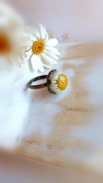 wild daisy ring picture