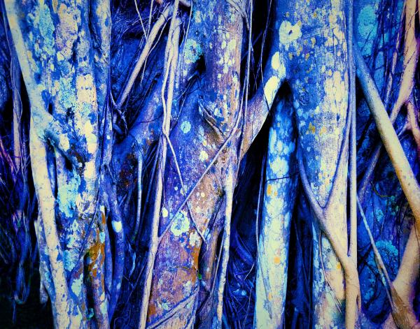 "Jackson Pollock Trees in Blue"