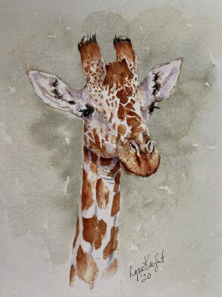 Giraffe picture