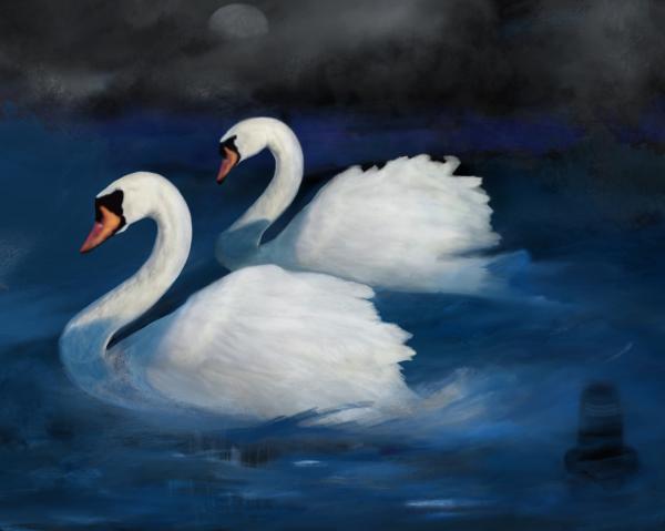 Swans of Manasarovar picture