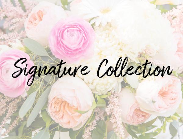 Signature Collection picture