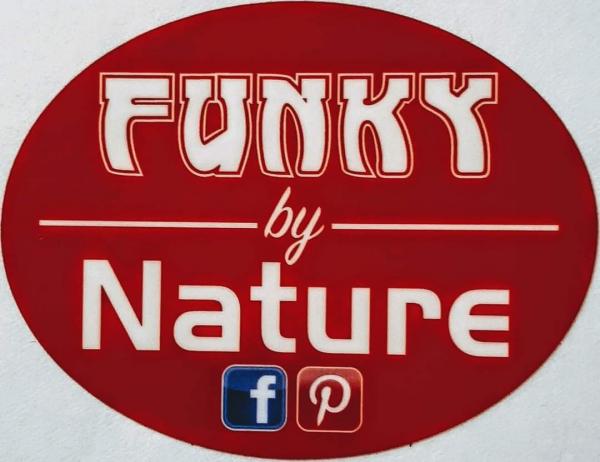 Funky by Nature