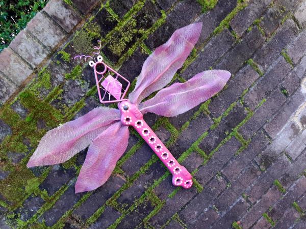 Pink Dragonfly picture