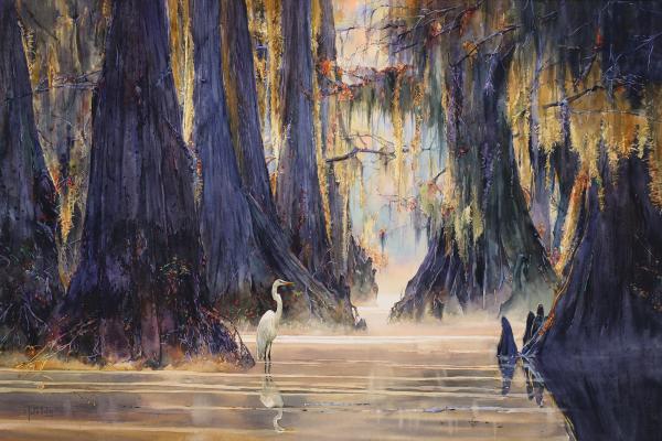 "Swamp Serenade" picture