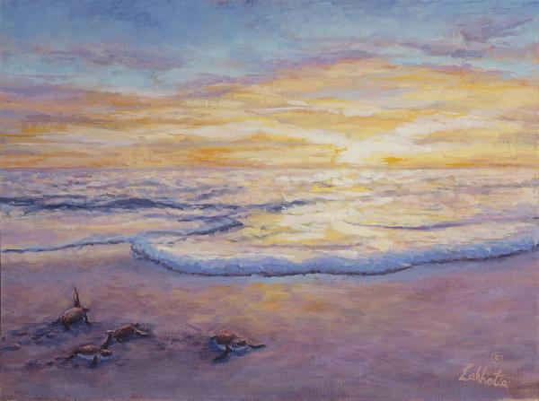 Sunrise hatchlings