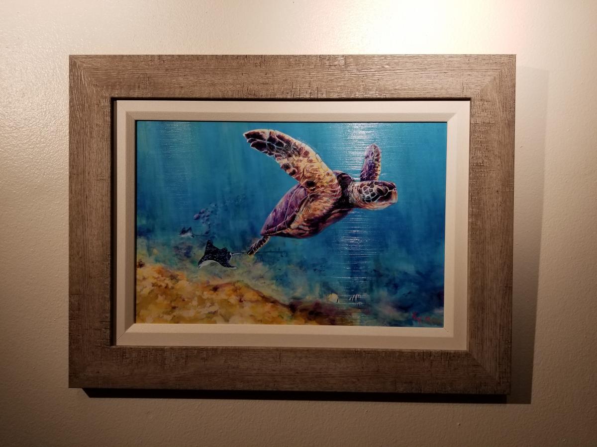 Lou's turtle picture