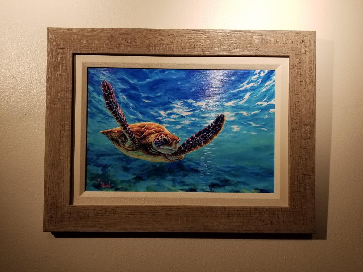 Shallow waters picture