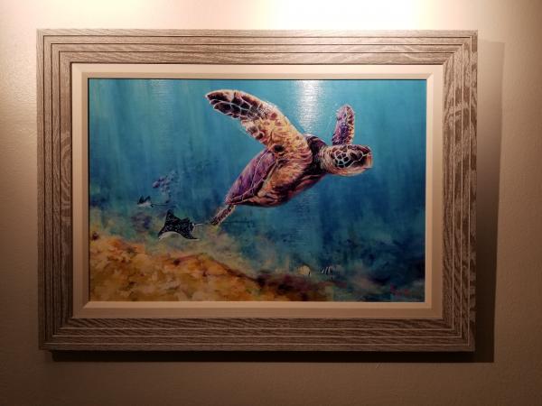 Lous turtle picture