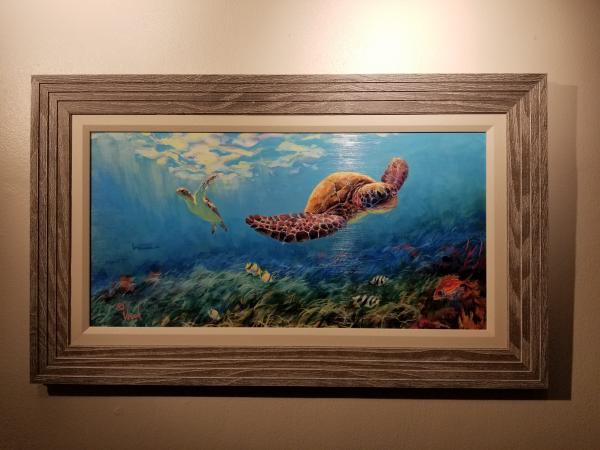 Seagrass turtle picture