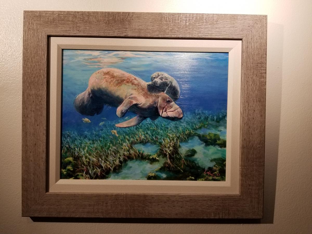 Feeling safe - Manatee picture