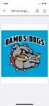 DAMO’S DOGS
