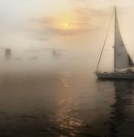 Foggy Sunset