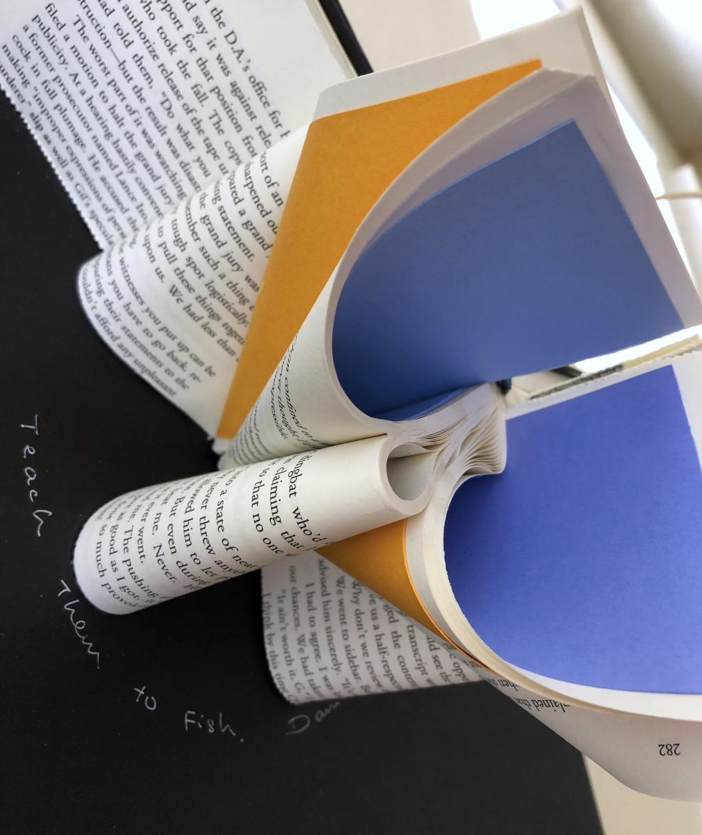 Teach Them to Fish picture