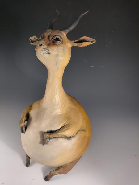 Jolly Antilope