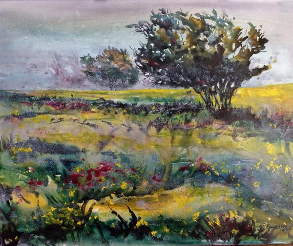 Mist on the Meadow