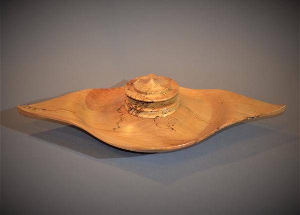 "Diamond Box - Spalted Sugar Maple"