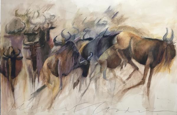 Wildebeest stampede picture