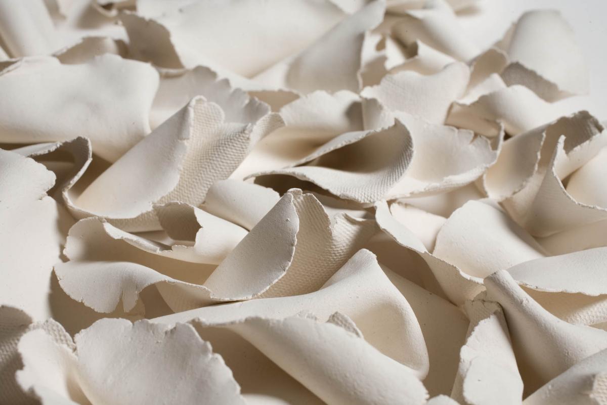 Folds: Wings to Fly picture