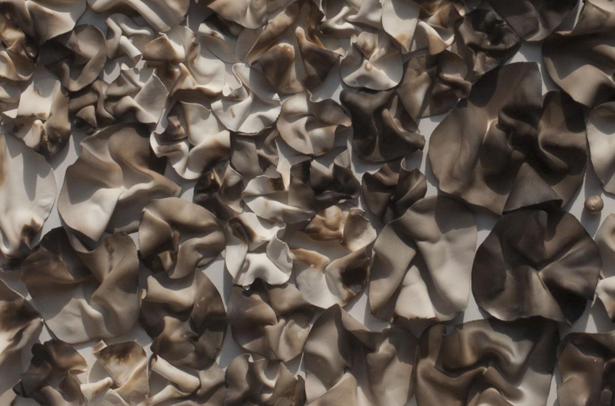 Folds: Forest Floor picture