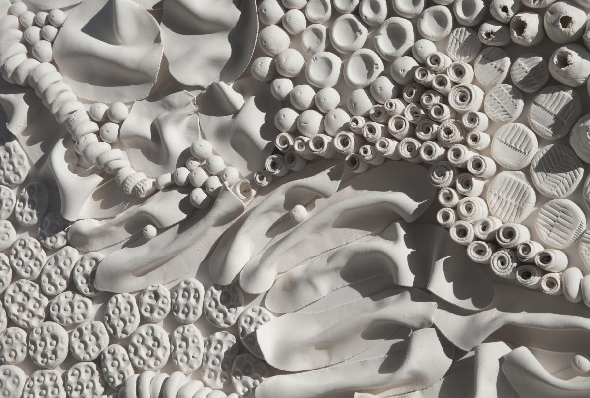 Subaerial: Scape picture