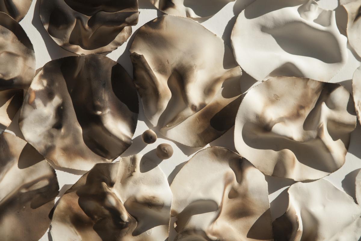 Folds: Rustling Leaves picture