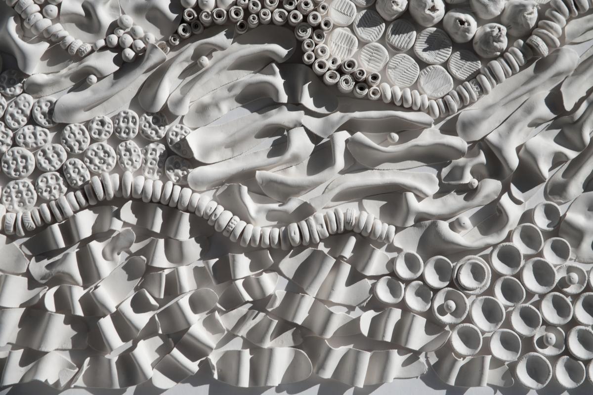 Subaerial: Scape picture