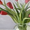 Red Tulips picture