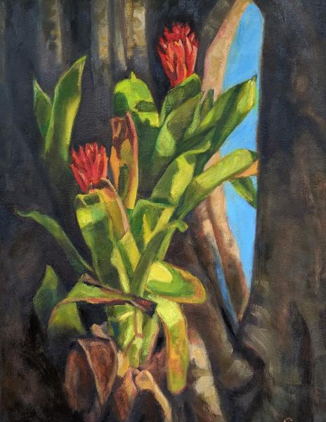 Bromeliad Attached
