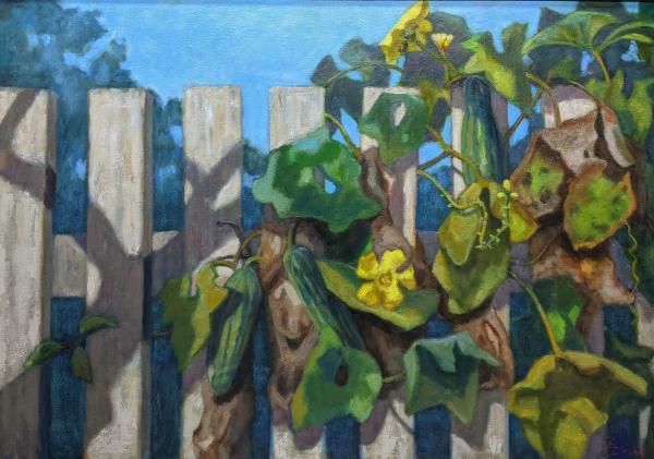 Zucchini Vine