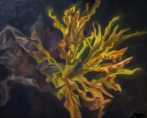 Lit Frond