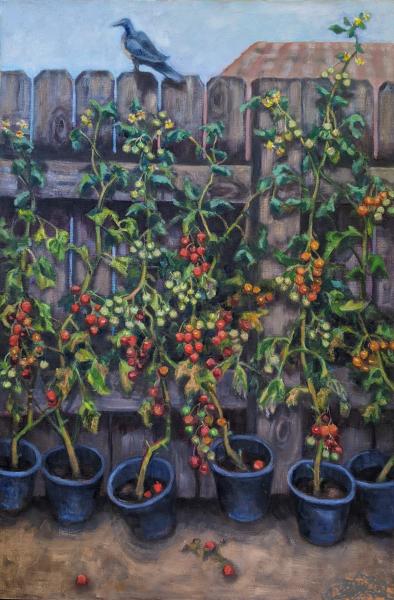 Cherry Tomatoes