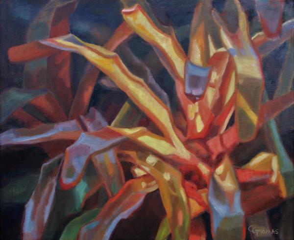Bromeliad