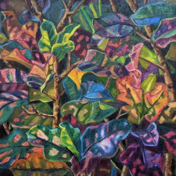 Crotons