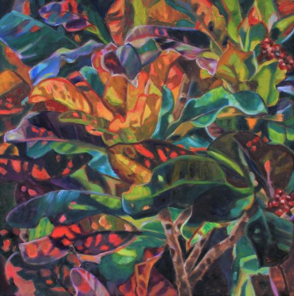 Croton Rainbow