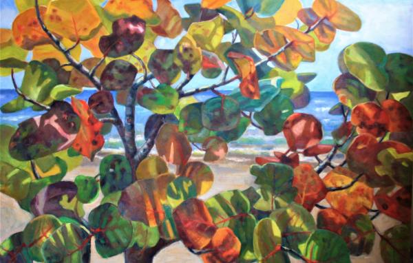 Beach Seagrapes