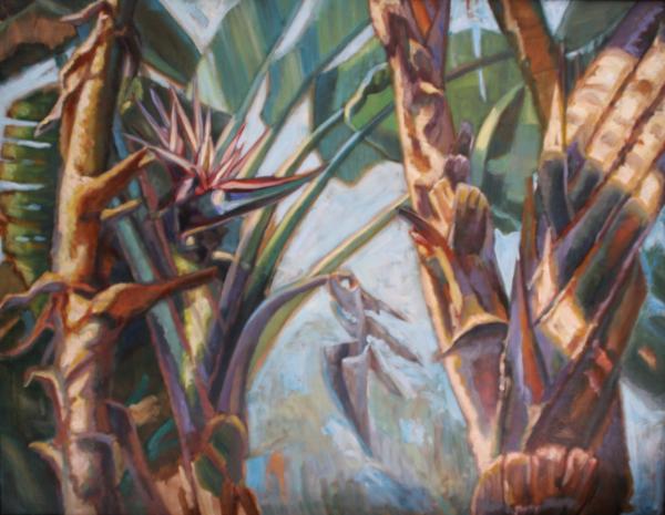 Bird of Paradise Palm