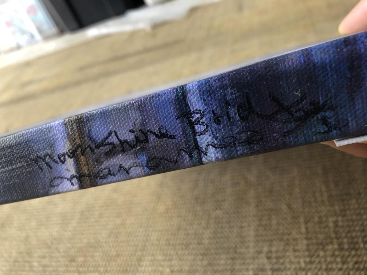 Moon Shine Bridge (gallery wrapped stretched canvas print) picture